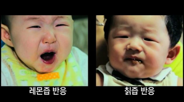 혀가 느끼는 쓴맛, 인생의 쓴맛