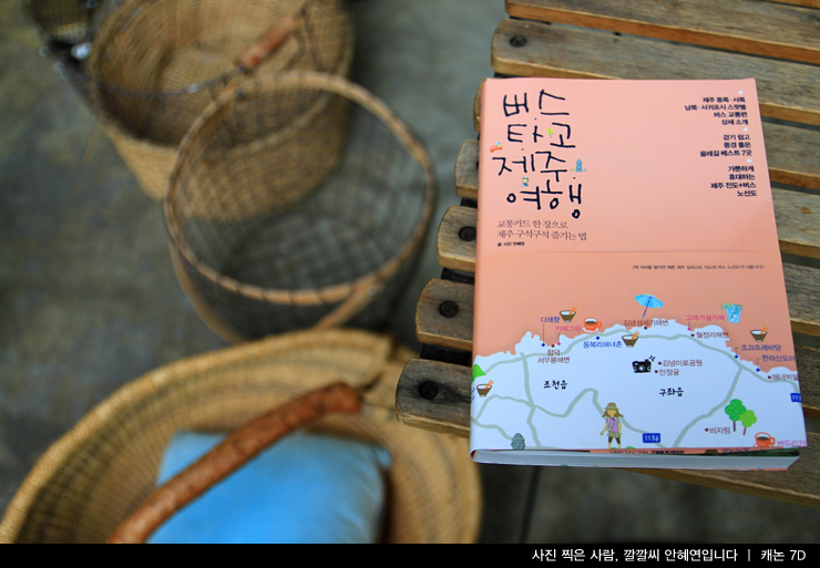 [인터뷰] ‘버스 타고 제주 여행’ 미녀 저자
