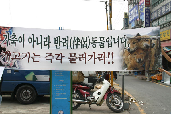 [말복특집] 개고기 폐지론자들은 동물 복지를 악화시키고 있다