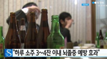 당신이 소주를 마셔도 되는 5가지 이유