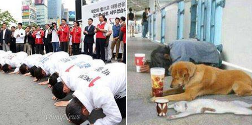 새누리당 “도와주세요” 역관광의 현장