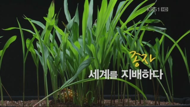 농업계의 카피레프트, 종자 나눔 운동을 아세요?