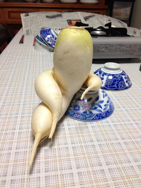 엄청나게 멋있는(O) 맛있는(X) 야채과일 모음