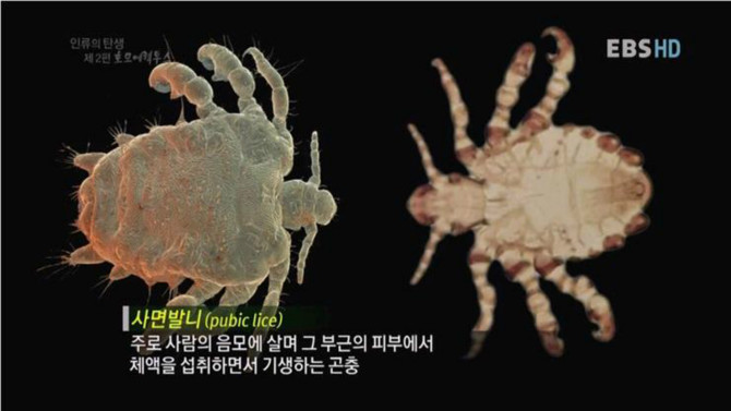 우리가 오해하고 있는 성병의 진실