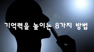 기억력을 높이는 8가지 방법