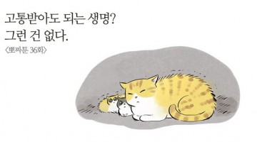 공혈견, 공혈묘에게 고통받지 않을 환경을
