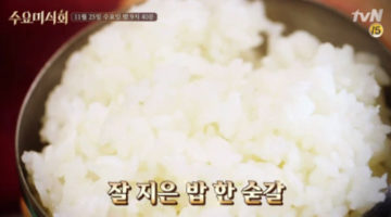 밥을 먹어야 하는 이유