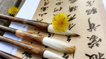 안암골의 박사와 대기업 회장 이야기 ‘박사전’