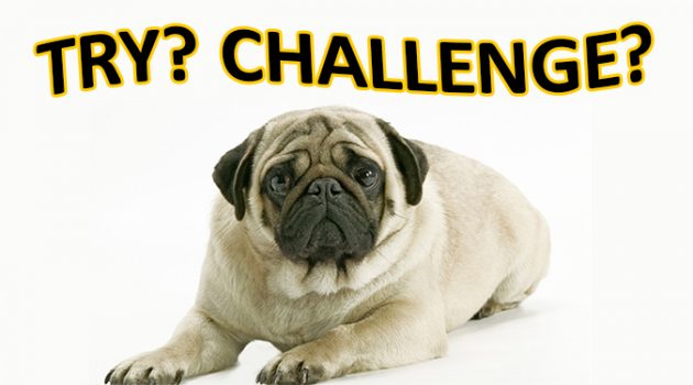 try와 challenge 차이점