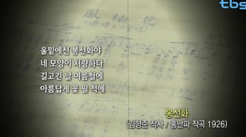 아침이슬, 미인, 고래사냥… ‘어이없는 금지곡’의 광복절