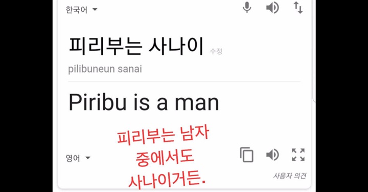 기계 번역 전격 비교! 구글 번역 vs. 네이버 파파고