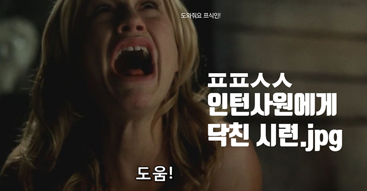 ㅍㅍㅅㅅ 인턴을 살려주십시오