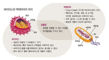 바이러스의 정의를 다시 생각하게 하는 거대 바이러스