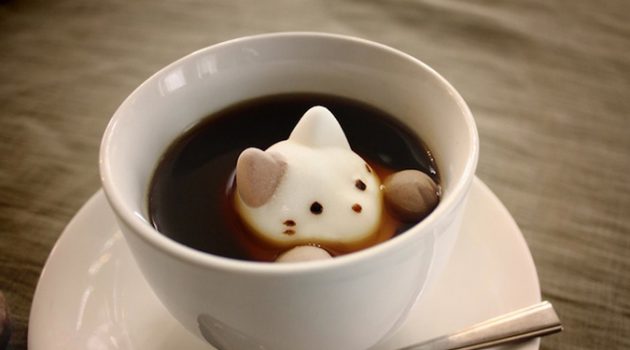 커피는 정말 암을 유발할까?