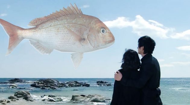 주말 사이 도미조림이라는 키워드가 핫하다