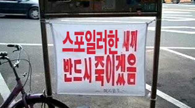 “저 진짜 하나만 물어볼게요, 도대체 왜 스포일러를 하시는 거예요?”