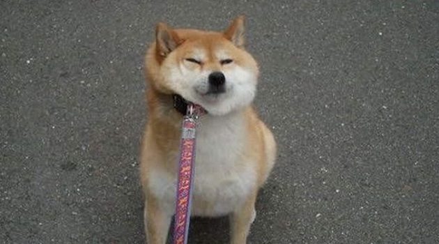 다른 이에게 고집이 세다고 말하는 사람의 고집은 얼마나 셀까?
