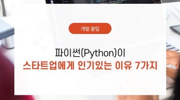 파이썬이 스타트업에게 인기 있는 이유 7가지