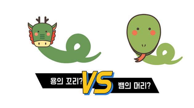 용의 꼬리보다 뱀의 머리가 되는 게 좋은 이유