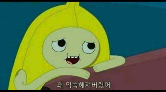 나의 적으로서의 나