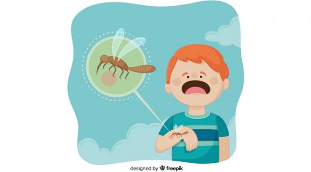 가장 오래된 모기 화석이 알려준 사실: 옛날에는 수컷 모기도 흡혈을 했다