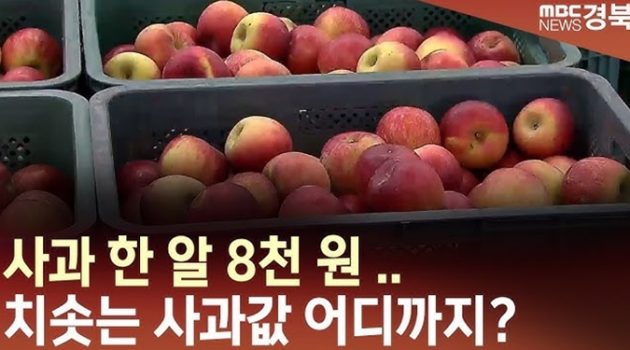 계속 이 비싼 사과를 먹게 될 것인가?
