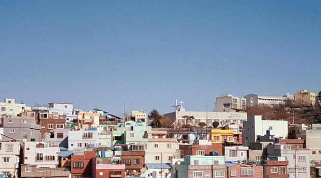 ‘프로 산책러’가 꼽은 부산에서 걷기 좋은 길