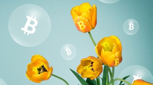 비트코인 VS 튤립 버블 논쟁